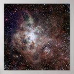 Tarantula Nebula NASA Poster