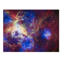 Tarantula Nebula Post Card