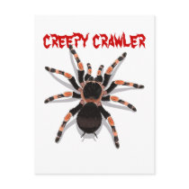 Tarantula Postcard