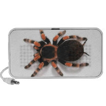 Tarantula Speaker