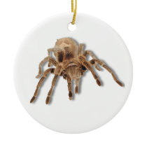 Tarantula spider ornament