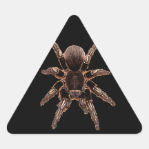 Tarantula Sticker