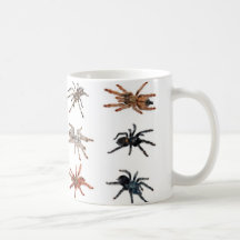 tarantulas mug