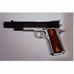 Target air pistol photo sculptures