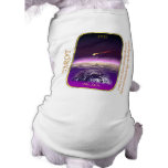 Tarot Card - The Star pet clothing