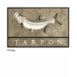 Tarpon Men's Vintage Black & White Apparel t-shirts