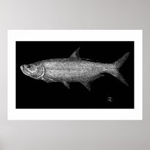 Tarpon Scratch art Posters