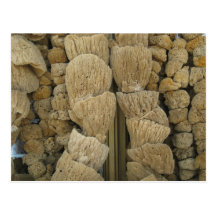 Tarpon Springs Sponges (2) Postcard