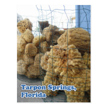 Tarpon Springs Sponges Postcard