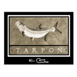 Tarpon Vintage Black & White Postcards