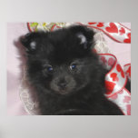 Tasha celebrates her first Valentine's Day posters