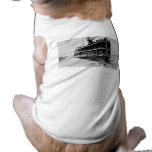 Tashmoo from Detroit - Vintage Stern Shot pet clothing