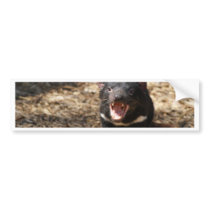 Tasmanian Devil Bumper Sticker