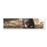 Tasmanian Devil bumper stickers