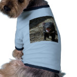 Tasmanian Devil pet clothing