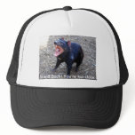 Tasmanian Devil h--  Stand Back! You're too close.