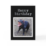 Tasmanian Devil Happy Birthday cards