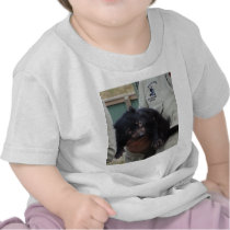 Tasmanian Devil T Shirt