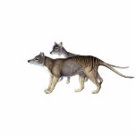 Tasmanian Tiger Cutout Magnet/Sculpture photo sculptures