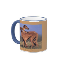 TASSE Deux Azawakhs