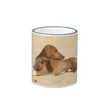 TASSE Petit Azawakh du Sahel