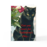 Tasty Roses Kitty Valentine Greeting Card