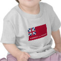 Taunton (United States), United States flag t-shirts