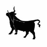 Taurus Constellation/Zodiac Photo Sculpture photo sculptures