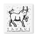 Taurus magnets