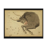 Taurus