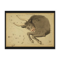 Taurus