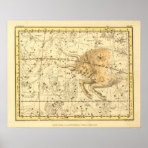 Taurus Posters