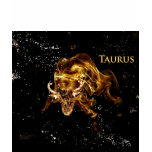 Taurus the Bull Astrology sign t-shirts