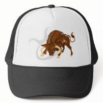 Taurus the bull star or birth sign. hats