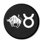 Taurus with Symbol magnets