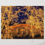Tavern on the Green, Central Park, New York City, Full Color Flyer