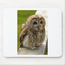 Tawny Owl Mouse Pad