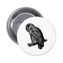 Tawny Owl Owls Bird Vintage Wood Engraving Buttons