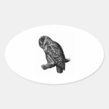 Tawny Owl Owls Bird Vintage Wood Engraving Oval Stickers