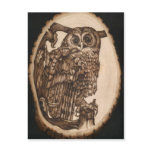 Tawny Owl Postcard