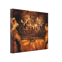 Taxidermy - Home of the three bears Gallery Wrap Canvas