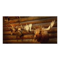 Taxidermy - The hunting lodge