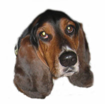 Taz Ornament Photo Cut Out