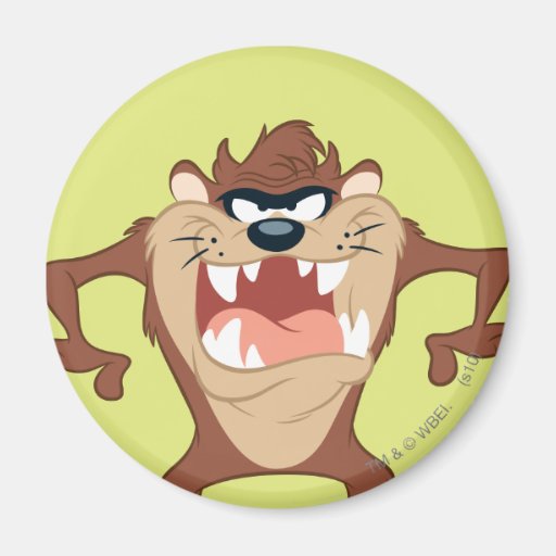 Taz posing 14 fridge magnets