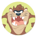 Taz posing 14 stickers