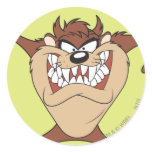 Taz posing 15 stickers