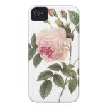 (TBA) Redoute Rose 2 Case-Mate iPhone 4 Case