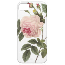 (TBA) Redoute Rose 2 iPhone 5 Cover