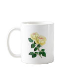 Tea Rose, Madame Margottin mugs