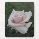 tea rose mousepad